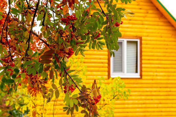 Garden Window Replacement in Michigan City